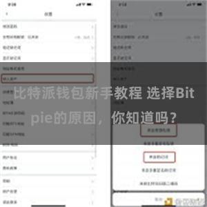 比特派钱包新手教程 选择Bitpie的原因，你知道吗？