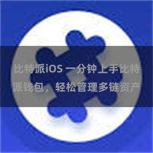 比特派iOS 一分钟上手比特派钱包，轻松管理多链资产