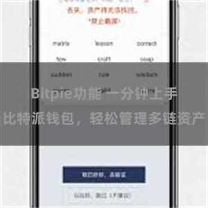 Bitpie功能 一分钟上手比特派钱包，轻松管理多链资产