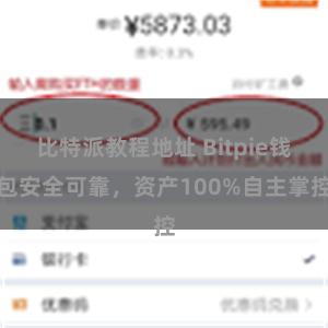 比特派教程地址 Bitpie钱包安全可靠，资产100%自主掌控