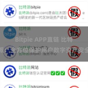 Bitpie APP直链 比特派：全方位保护用户数字资产安全