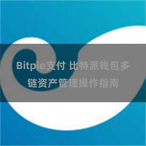 Bitpie支付 比特派钱包多链资产管理操作指南