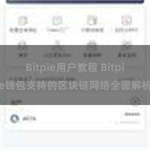 Bitpie用户教程 Bitpie钱包支持的区块链网络全面解析