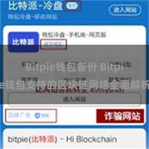 Bitpie钱包备份 Bitpie钱包支持的区块链网络全面解析