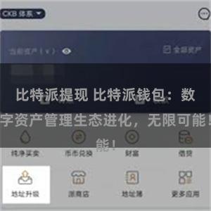 比特派提现 比特派钱包：数字资产管理生态进化，无限可能！