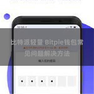 比特派轻量 Bitpie钱包常见问题解决方法