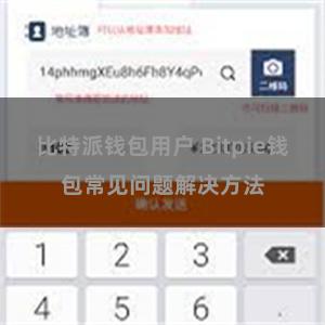 比特派钱包用户 Bitpie钱包常见问题解决方法