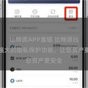 比特派APP直链 比特派钱包：强大的隐私保护功能，让您资产更安全