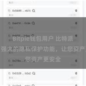 Bitpie钱包用户 比特派钱包：强大的隐私保护功能，让您资产更安全