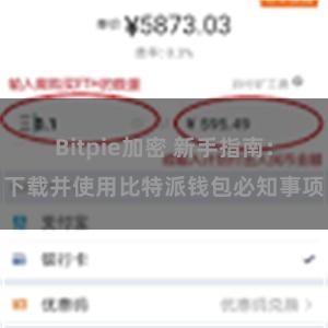 Bitpie加密 新手指南：下载并使用比特派钱包必知事项