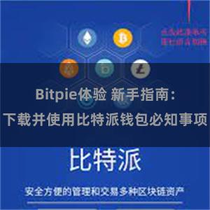 Bitpie体验 新手指南：下载并使用比特派钱包必知事项