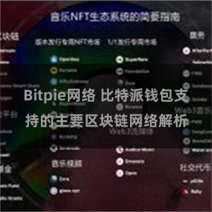 Bitpie网络 比特派钱包支持的主要区块链网络解析