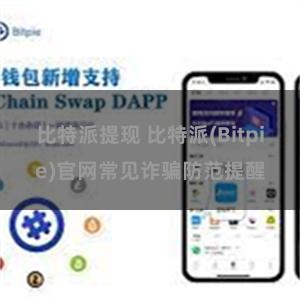 比特派提现 比特派(Bitpie)官网常见诈骗防范提醒