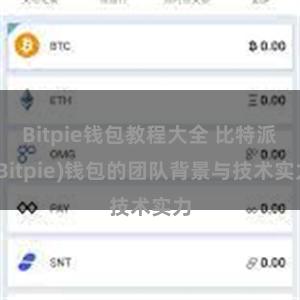 Bitpie钱包教程大全 比特派(Bitpie)钱包的团队背景与技术实力