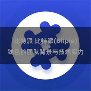 比特派 比特派(Bitpie)钱包的团队背景与技术实力