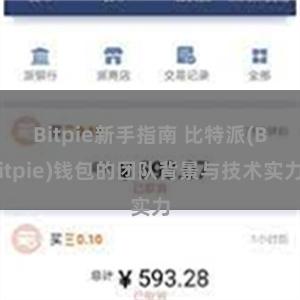 Bitpie新手指南 比特派(Bitpie)钱包的团队背景与技术实力