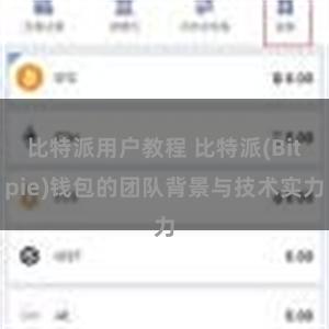 比特派用户教程 比特派(Bitpie)钱包的团队背景与技术实力