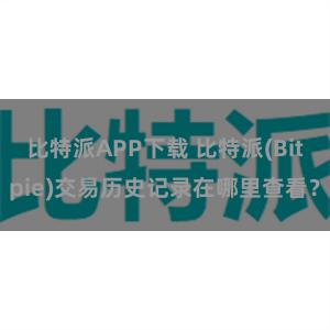 比特派APP下载 比特派(Bitpie)交易历史记录在哪里查看？