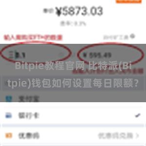 Bitpie教程官网 比特派(Bitpie)钱包如何设置每日限额？