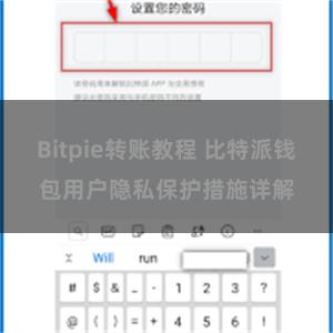 Bitpie转账教程 比特派钱包用户隐私保护措施详解