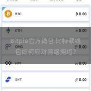 Bitpie官方钱包 比特派钱包如何应对网络拥堵？