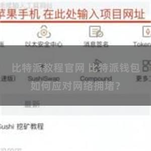 比特派教程官网 比特派钱包如何应对网络拥堵？