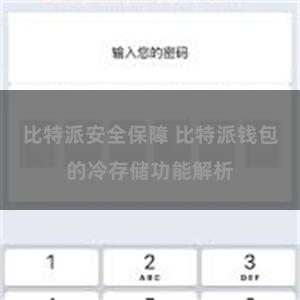 比特派安全保障 比特派钱包的冷存储功能解析