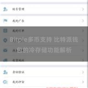 Bitpie多币支持 比特派钱包的冷存储功能解析