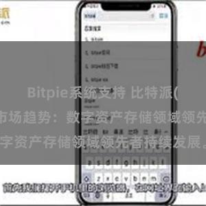 Bitpie系统支持 比特派(Bitpie)钱包市场趋势：数字资产存储领域领先者持续发展。