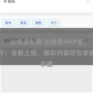 比特派私钥 比特派APP官方：全新上线，精彩内容尽在掌握