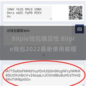 Bitpie钱包稳定性 Bitpie钱包2022最新使用教程