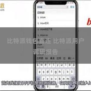 比特派钱包直连 比特派用户调研报告
