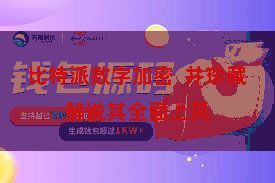 比特派数字加密  并珍藏解说其全面上风