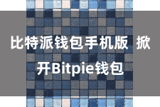 比特派钱包手机版  掀开Bitpie钱包