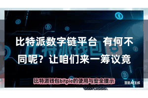 比特派数字链平台 有何不同呢?让咱们来一筹议竟