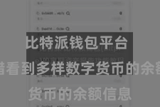 比特派钱包平台  你不错看到多样数字货币的余额信息