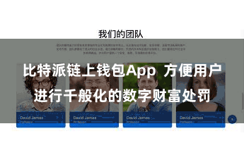 比特派链上钱包App  方便用户进行千般化的数字财富处罚