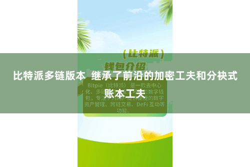 比特派多链版本  继承了前沿的加密工夫和分袂式账本工夫