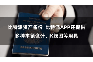 比特派资产备份  比特派APP还提供多种本领诡计、K线图等用具