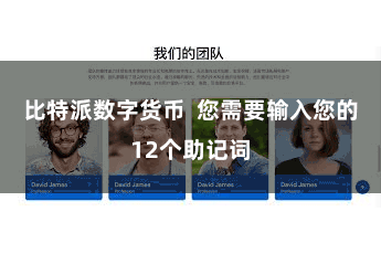 比特派数字货币  您需要输入您的12个助记词