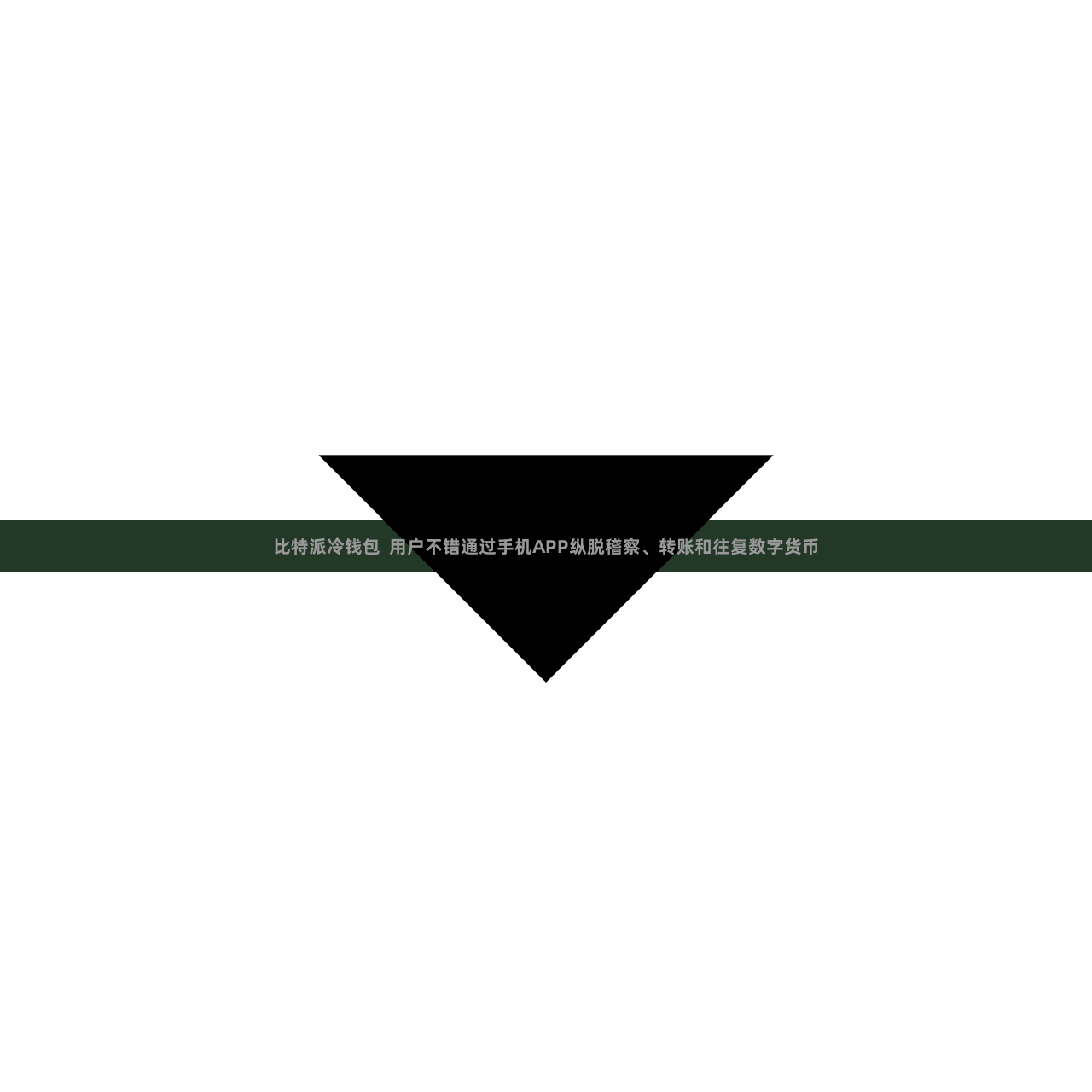 比特派冷钱包  用户不错通过手机APP纵脱稽察、转账和往复数字货币