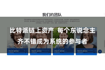 比特派链上资产  每个东说念主齐不错成为系统的参与者