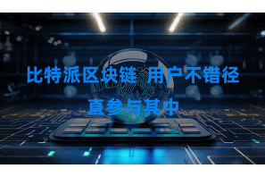 比特派区块链  用户不错径直参与其中